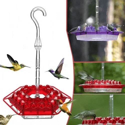 💥Last Day Sale 45% OFF🎁Hanging Outdoor Hummingbird Feeder🐦